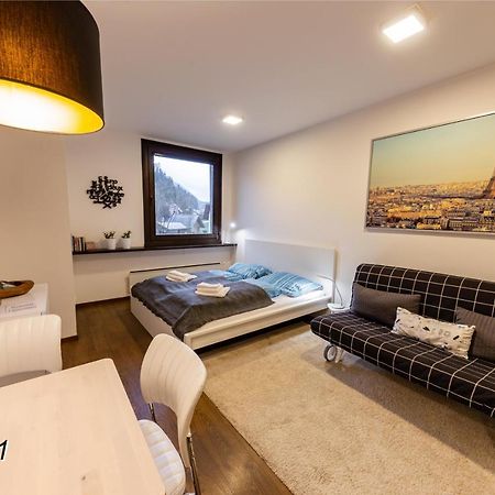 Appartement Sportwerk Göstling an der Ybbs Kültér fotó