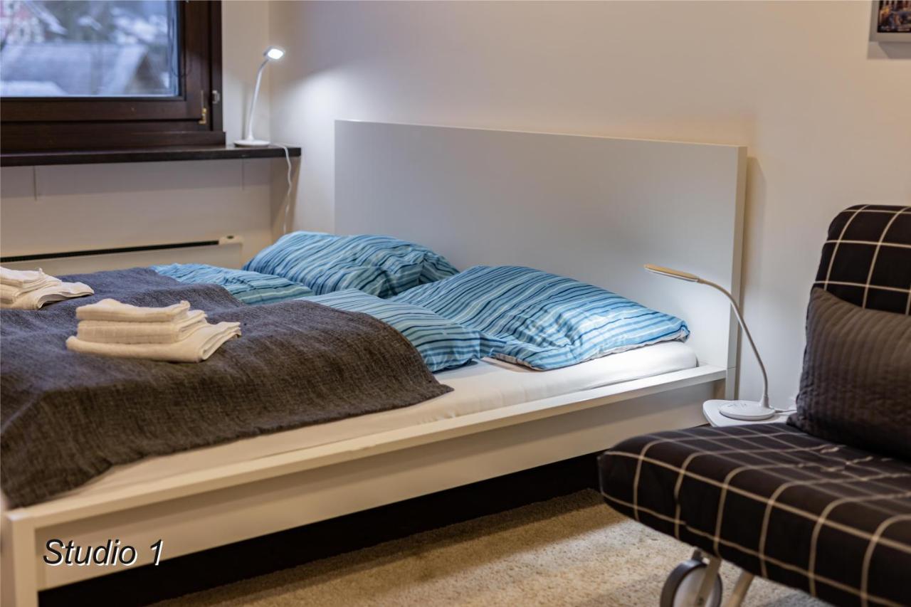 Appartement Sportwerk Göstling an der Ybbs Kültér fotó